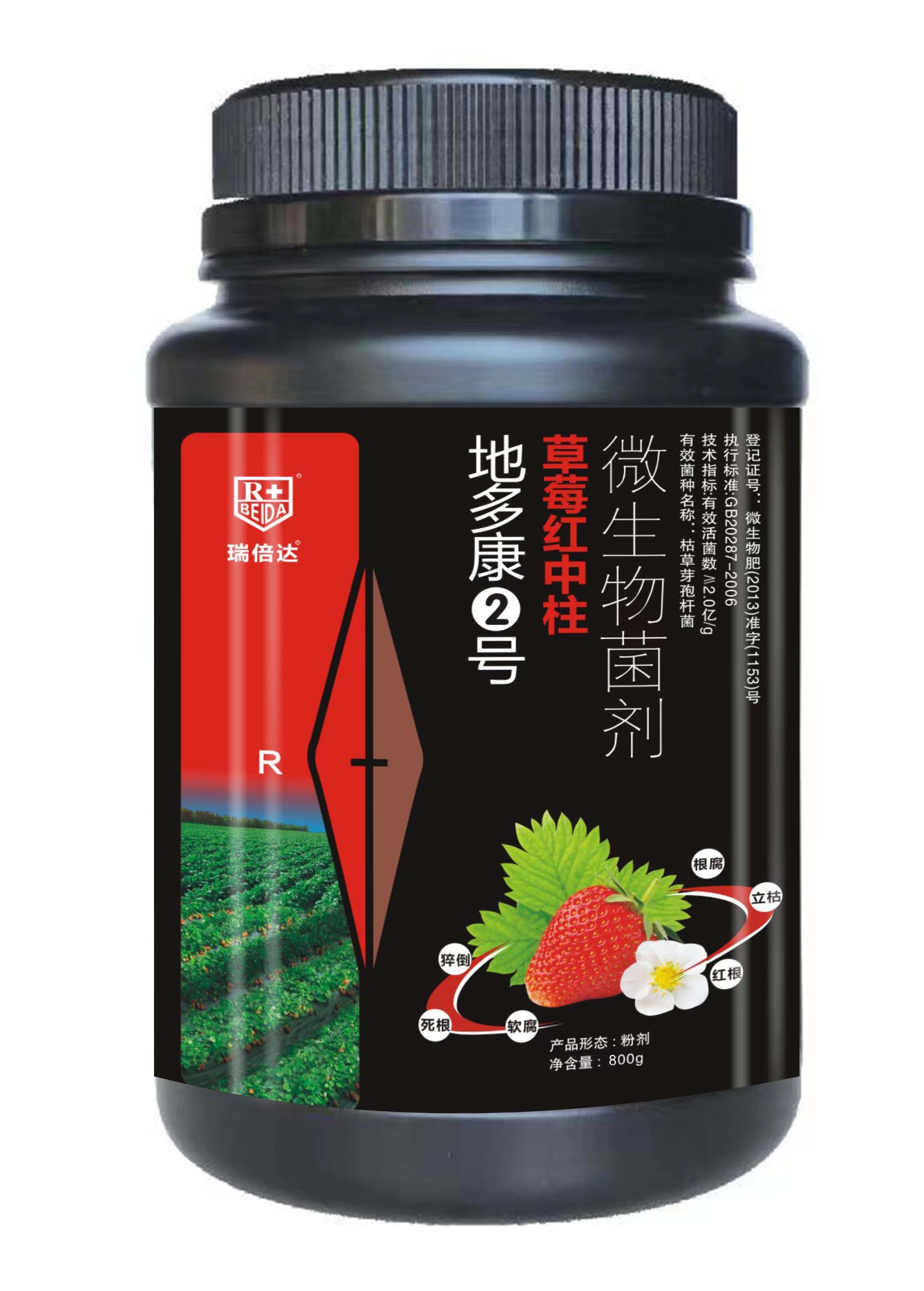 地多康2號草莓紅中柱