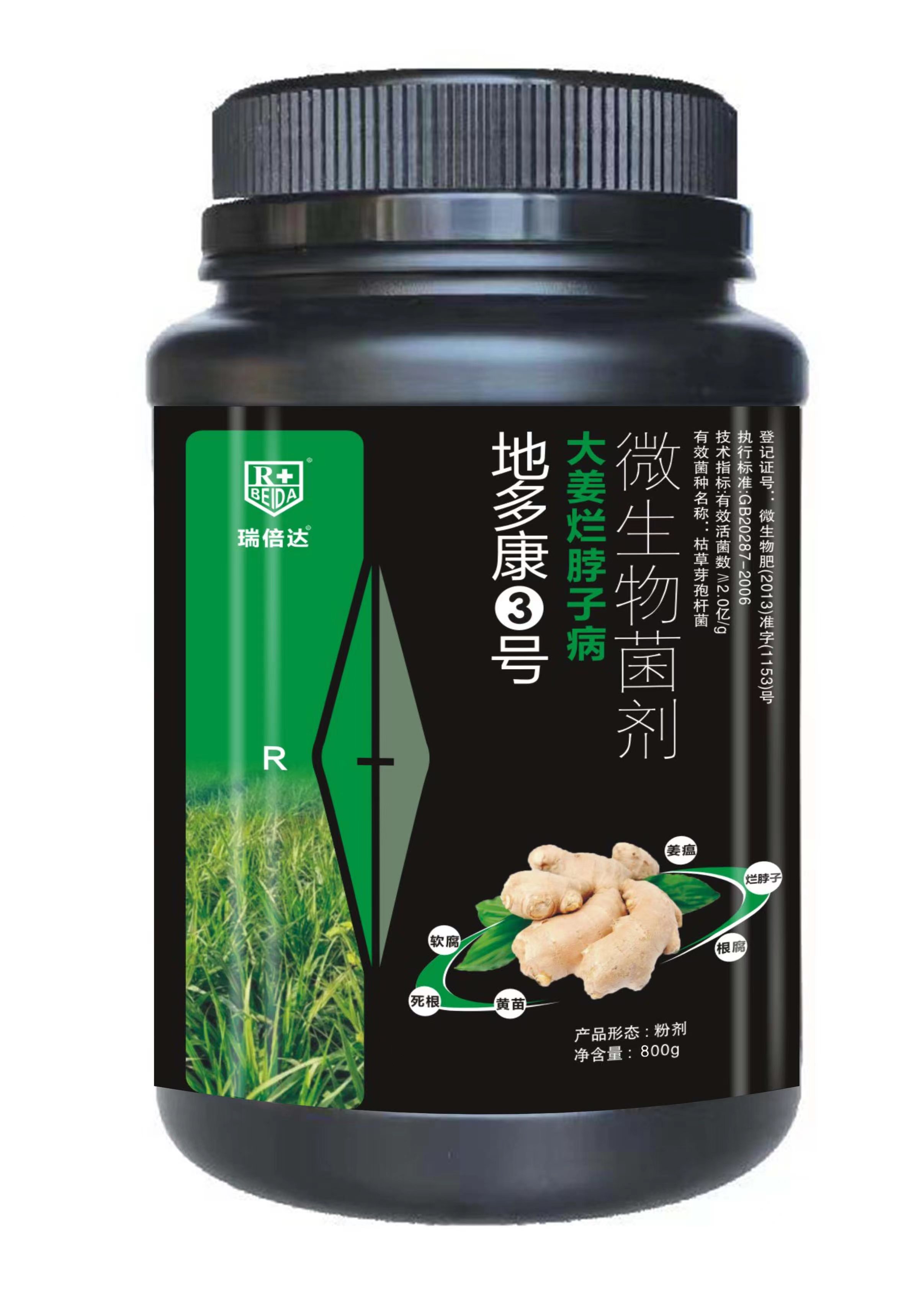 地多康2號大姜爛脖子病